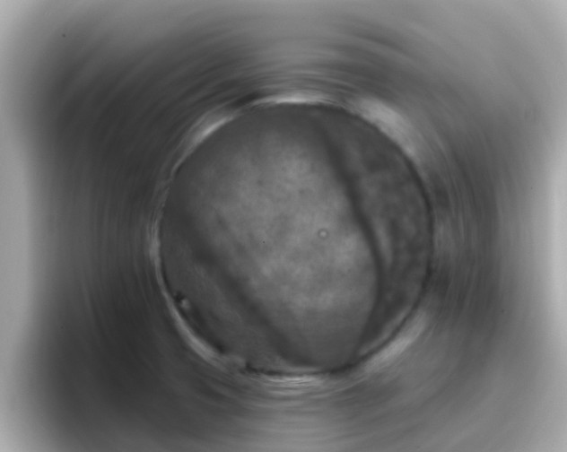 X0000096681425200802121202