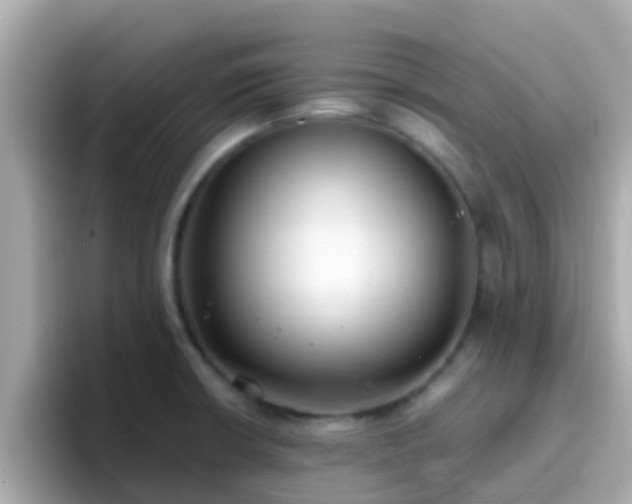 X0000096681426200802121202
