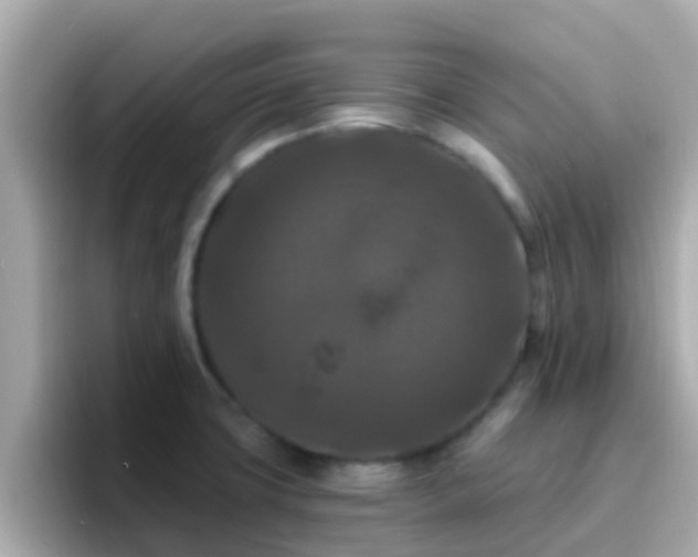 X0000096681427200802121202