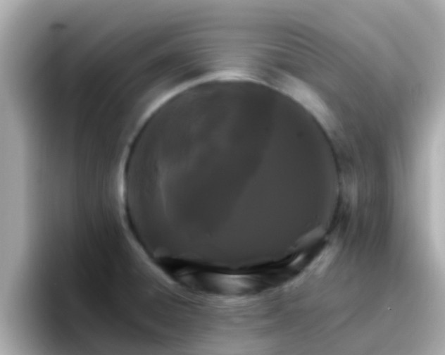 X0000096681428200802121202