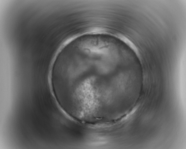 X0000096681429200802121202