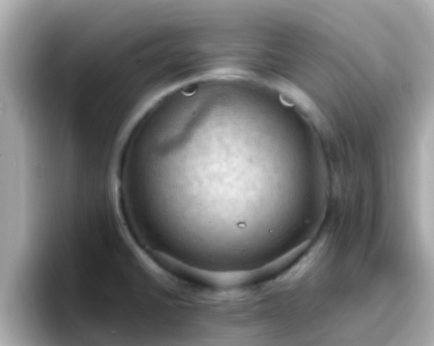 X0000096681430200802121202
