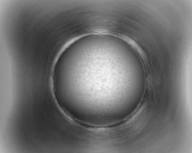 X0000096681432200802121202