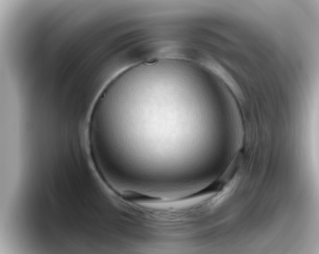 X0000096681434200802121202