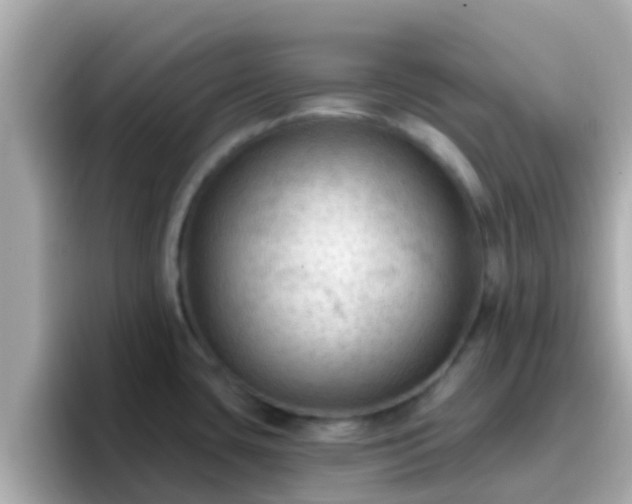 X0000096681435200802121202