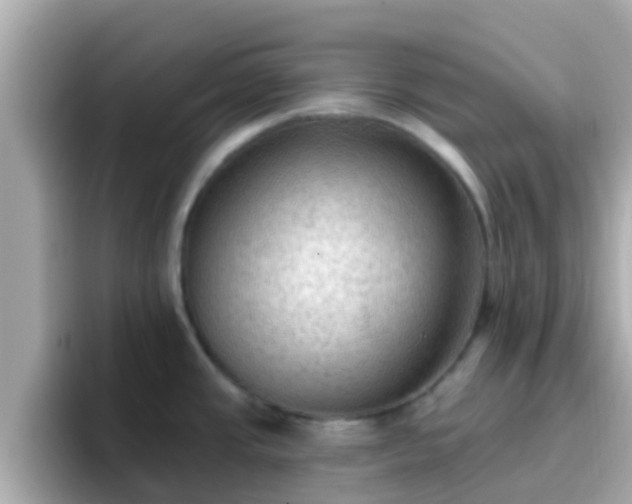 X0000096681437200802121202