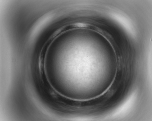 X0000096681438200802121202