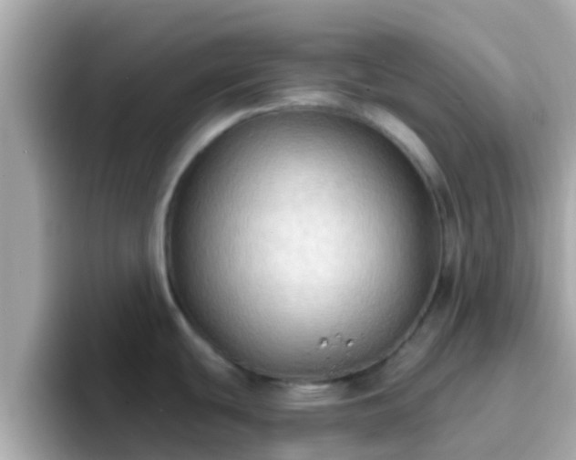 X0000096681439200802121202