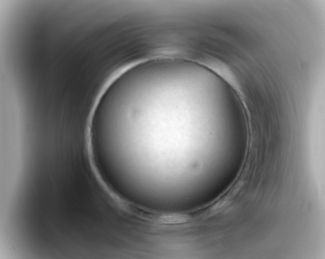 X0000096681440200802121202