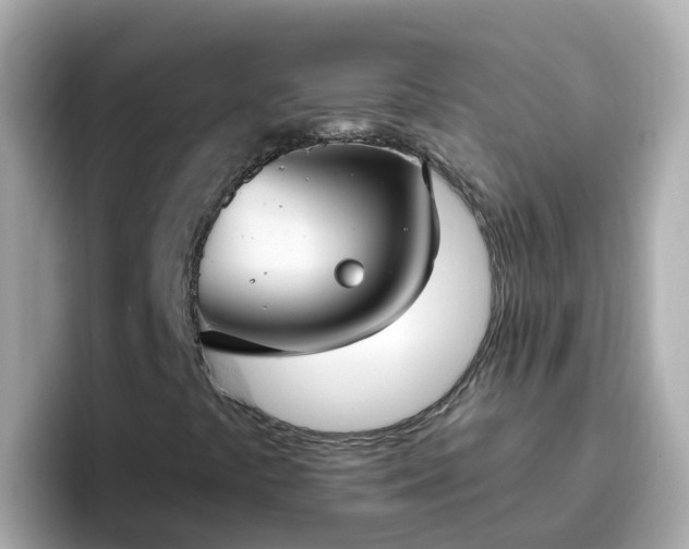 X0000096681441200802121202