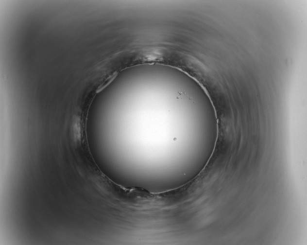 X0000096681442200802121202