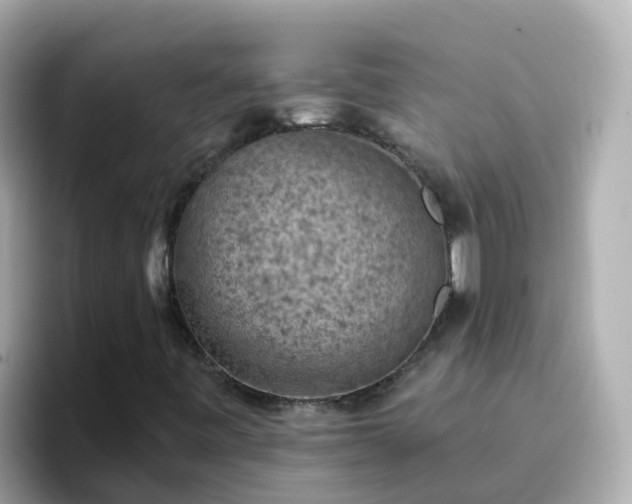 X0000096681443200802121202