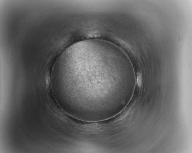 X0000096681444200802121202