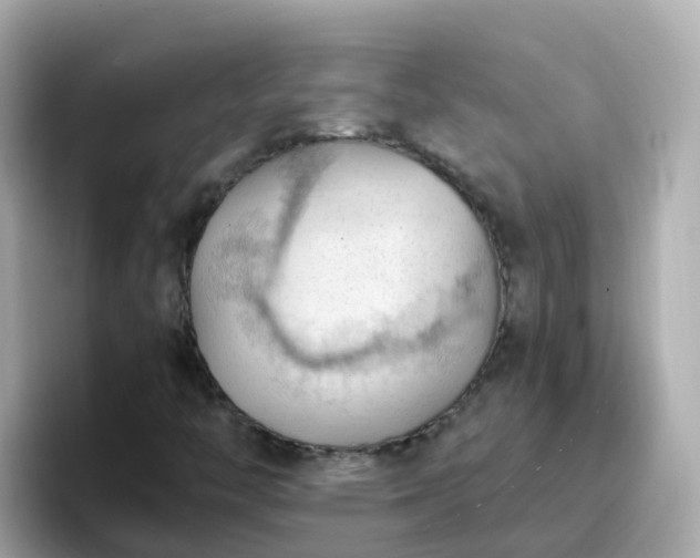 X0000096681446200802121202