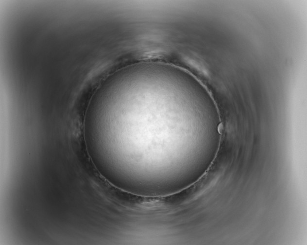 X0000096681447200802121202
