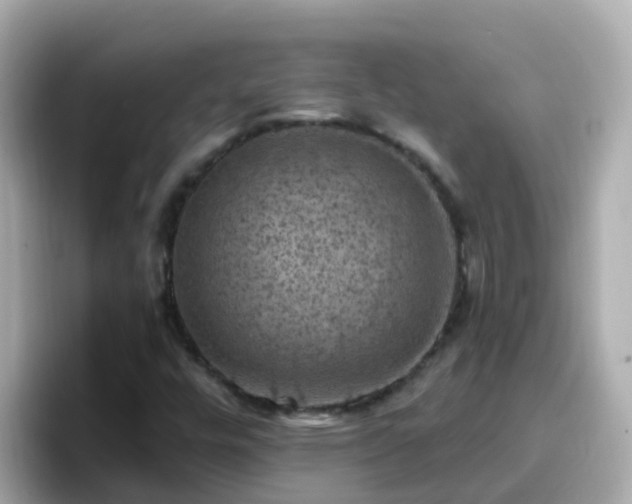 X0000096681448200802121202