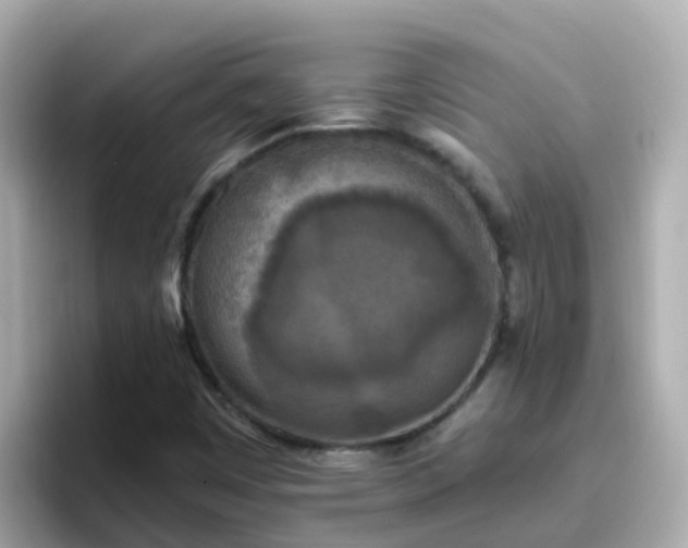 X0000096681449200802121202
