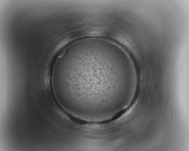 X0000096681450200802121202