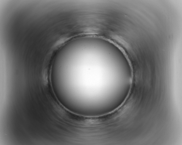 X0000096681451200802121202