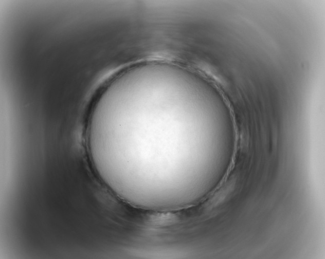 X0000096681454200802121202