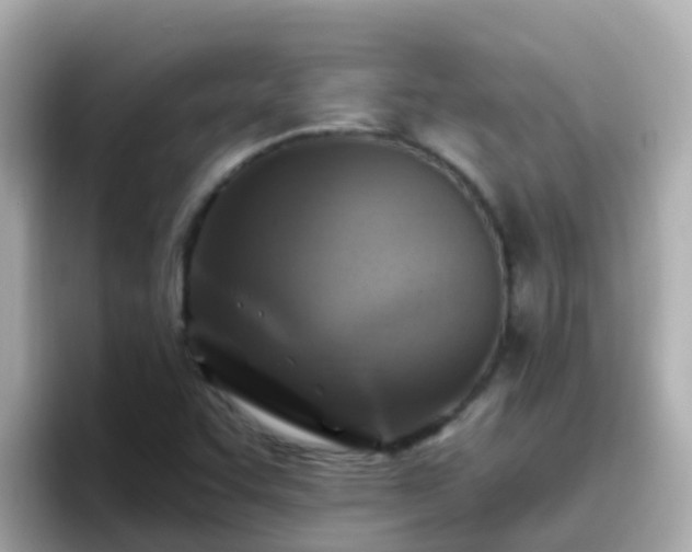 X0000096681455200802121202