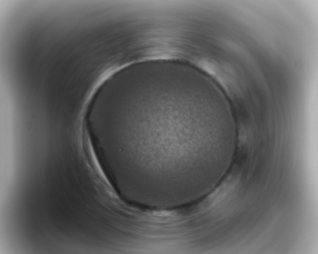 X0000096681459200802121202