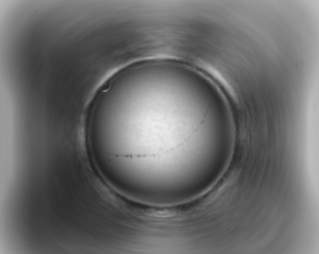 X0000096681460200802121202