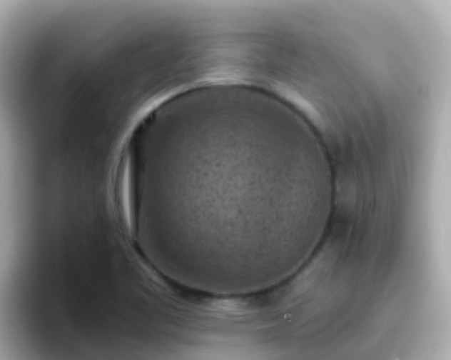 X0000096681461200802121202