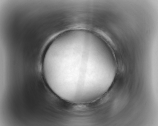 X0000096681462200802121202