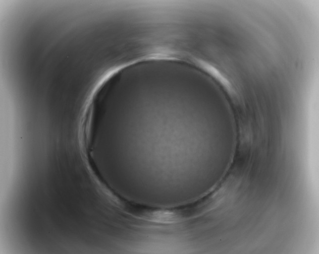 X0000096681463200802121202