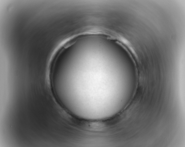 X0000096681464200802121202