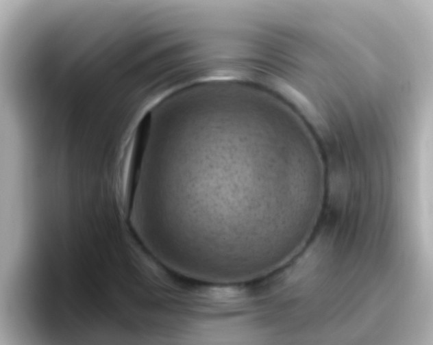 X0000096681465200802121202