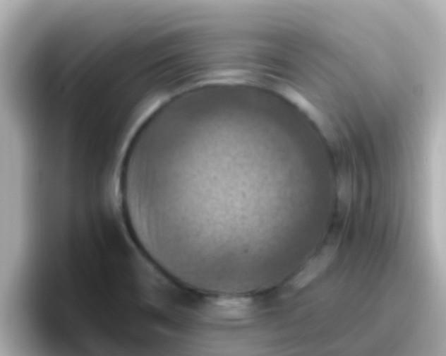 X0000096681466200802121202