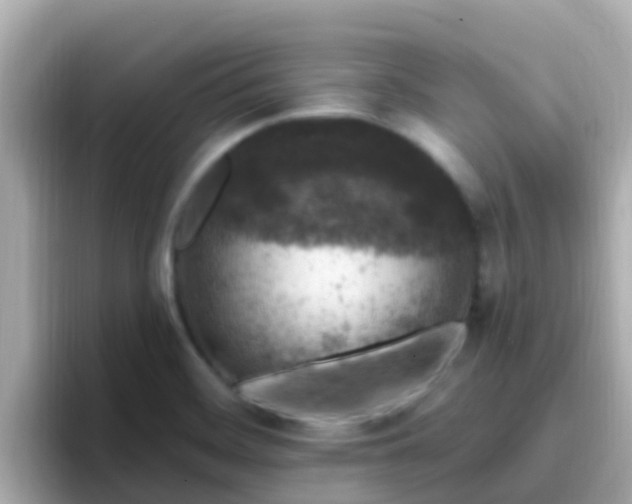 X0000096681468200802121201