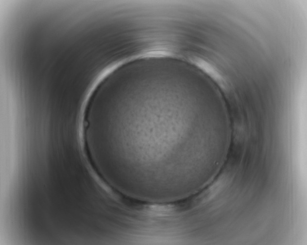 X0000096681469200802121201