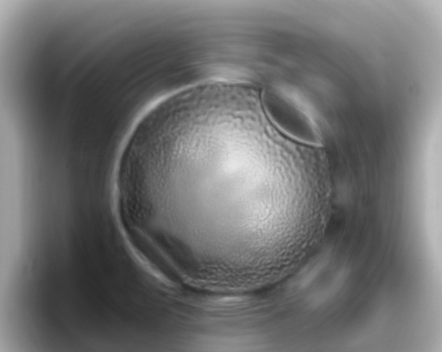 X0000096681471200802121201