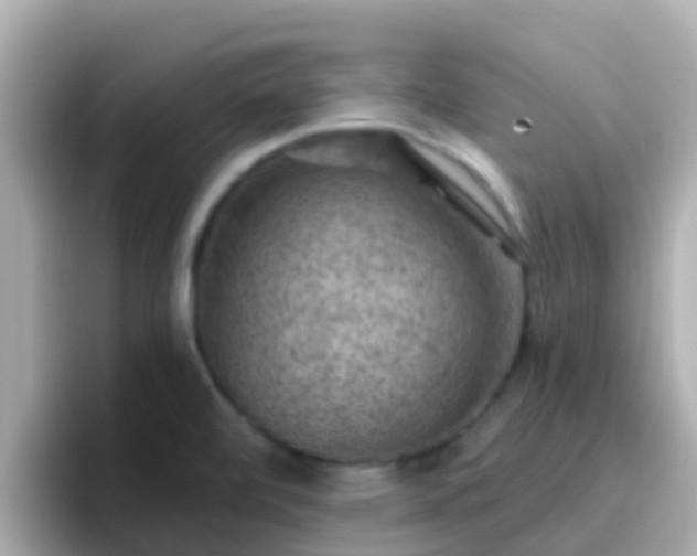 X0000096681472200802121201