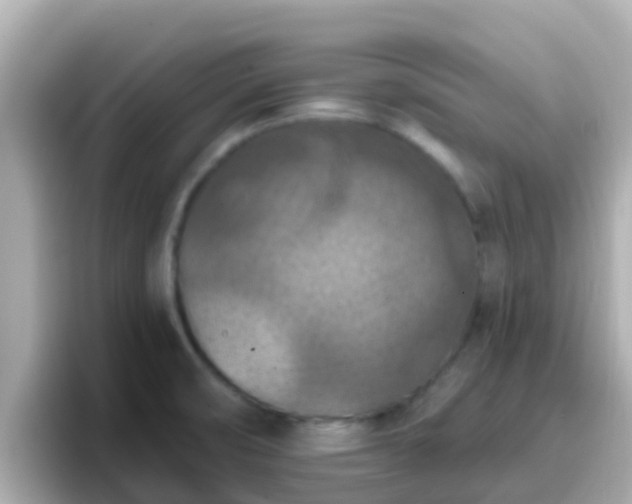X0000096681474200802121201