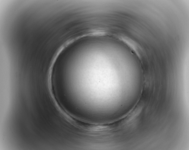 X0000096681475200802121201