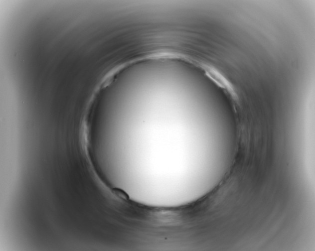 X0000096681476200802121201