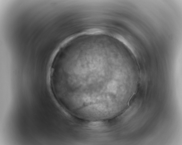 X0000096681477200802121201