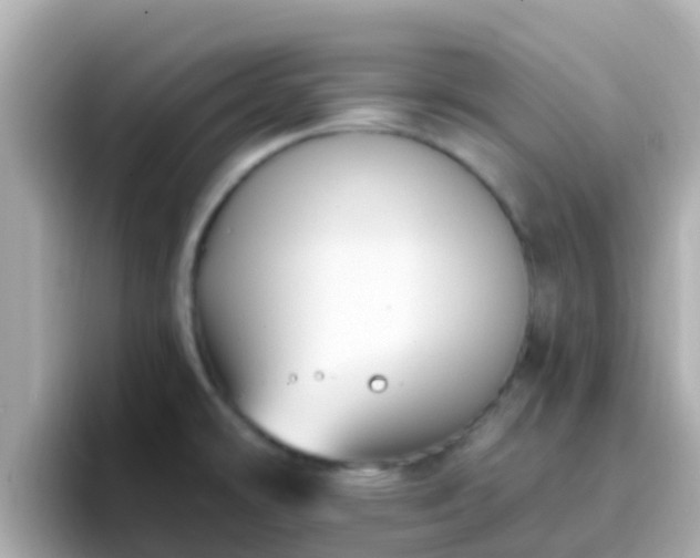 X0000096681478200802121201