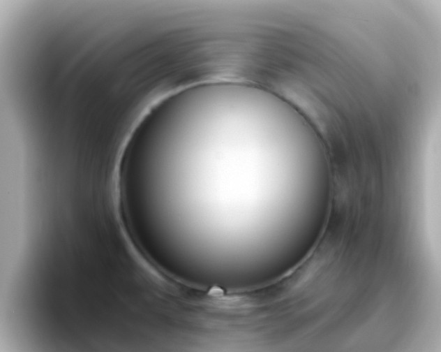 X0000096681479200802121201