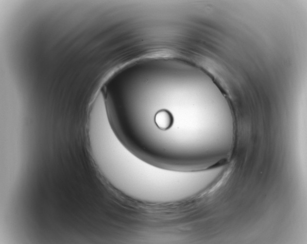 X0000096681481200802121201