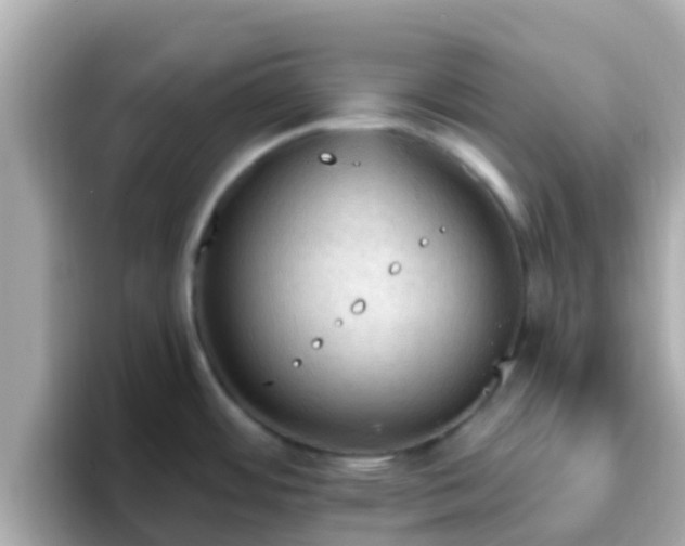 X0000096681484200802121201