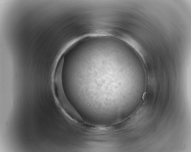 X0000096681485200802121201