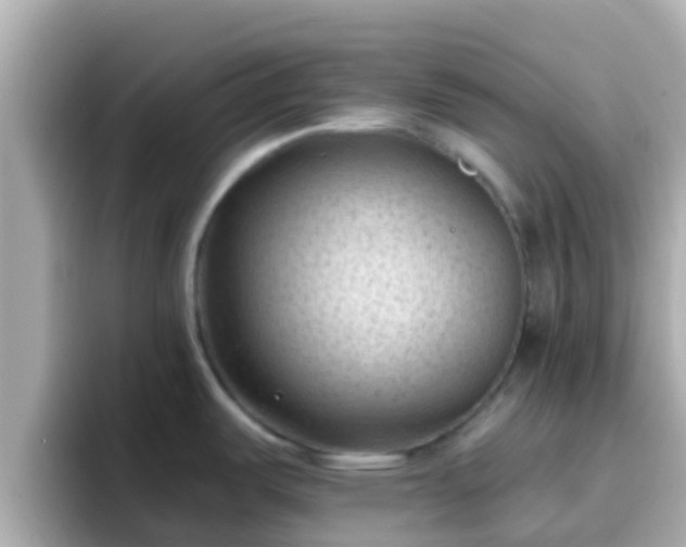 X0000096681487200802121201