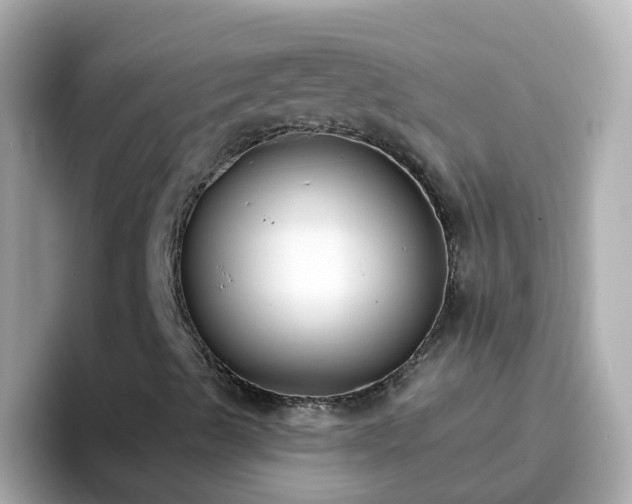 X0000096681489200802121201