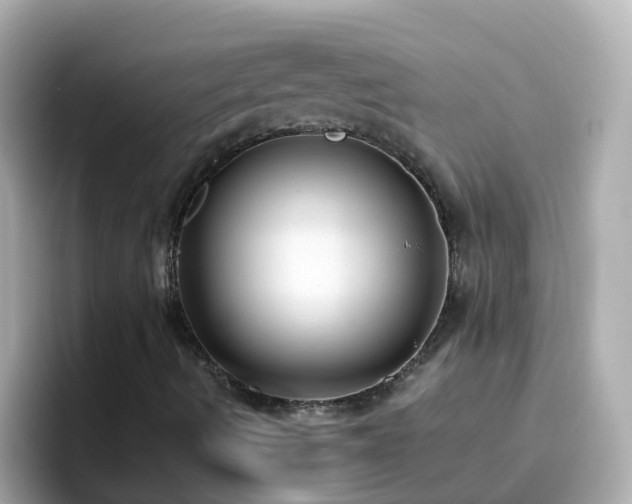 X0000096681490200802121201
