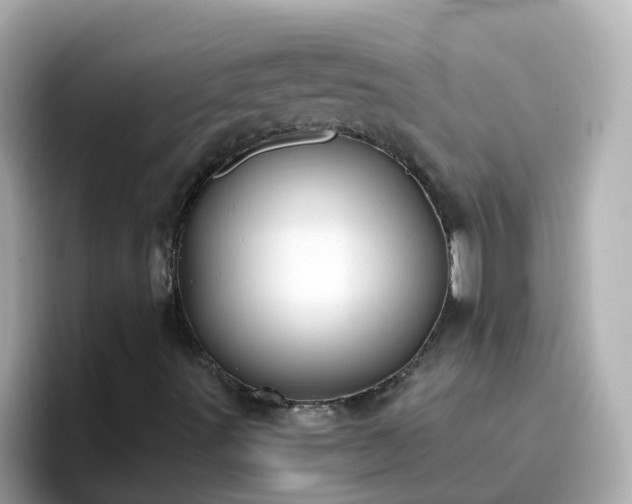 X0000096681491200802121201